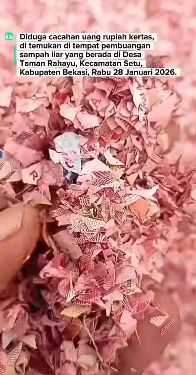 Cacahan uang kertas Bekasi YouTube @sahabatprabupedulilingkungan