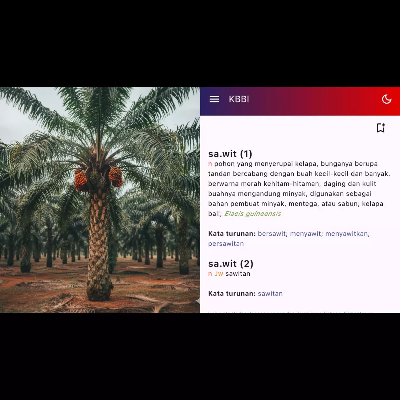Badan Bahasa ubah definisi sawit jadi pohon, ilmu botani tunjukkan perbedaannya dengan pohon asli