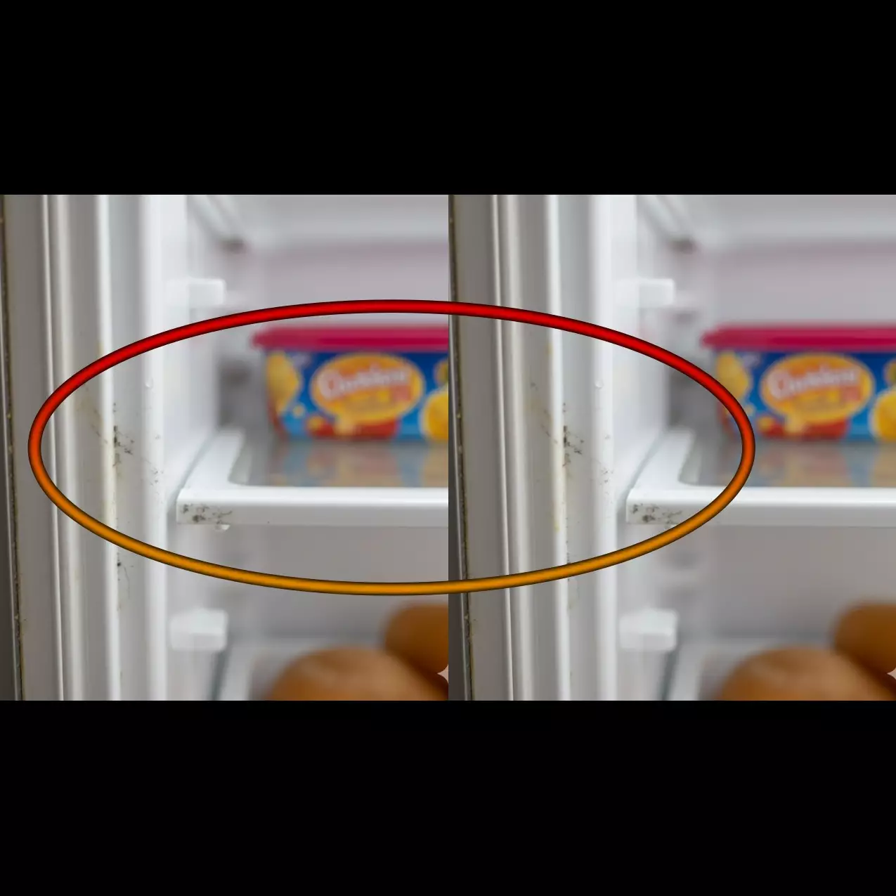 Jangan dikerok! Ini cara mudah basmi jamur kulkas pakai bahan simpel Rp5.000-an