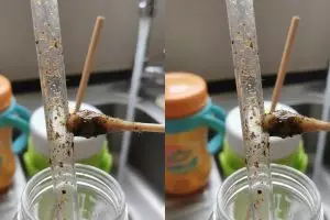 Tanpa sikat khusus! Begini trik bersihkan sedotan botol minum biar nggak jadi sarang bakteri