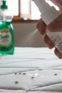 Basmi kutu kasur sampai tuntas, cukup semprot 2 bahan dapur tanpa jemur