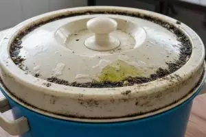 Lupakan sikat keras! Ini cara simpel bersihkan kerak termos es pakai campuran sitrun