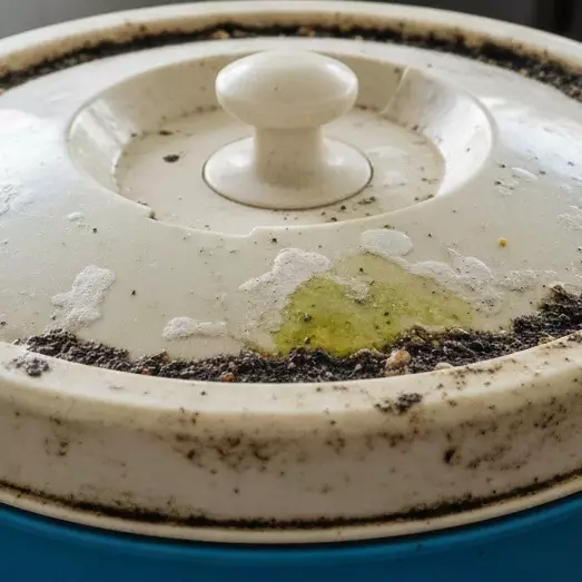 Lupakan sikat keras! Ini cara simpel bersihkan kerak termos es pakai campuran sitrun