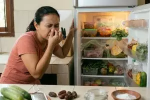 Kulkas wangi dan awet: Trik rahasia hilangkan bau tak sedap pakai spons dan baking soda
