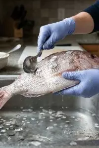 Cara membersihkan sisik ikan biar tidak berantakan, ternyata ada triknya