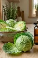 Ulat nyempil di sela kubis? Ini trik jitu mengusirnya tanpa merusak sayuran