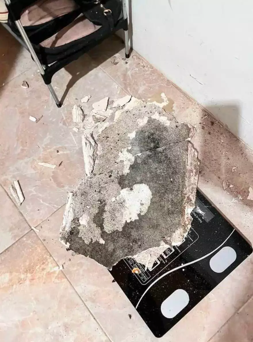 Kisah penyelamatan Allah TikTok/@ntslvp_ Kisah penyelamatan Allah TikTok/@ntslvp_