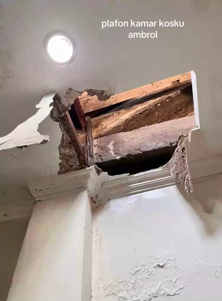 Kisah penyelamatan Allah TikTok/@ntslvp_ Kisah penyelamatan Allah TikTok/@ntslvp_