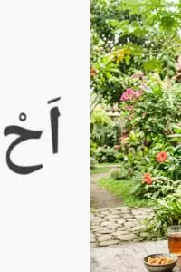 Sobat Brilio bisa langsung baca dalam satu tarikan napas atau terbata-bata, nih?