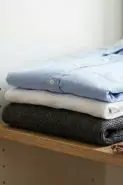 Tanpa produk mahal, bau kecoa di baju hilang hanya dengan bahan dapur