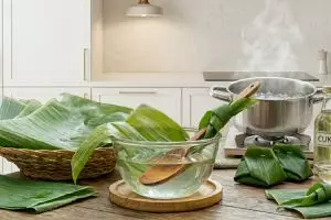 Cara bikin daun pisang lentur tanpa sobek, cuma pakai air cuka langsung siap bungkus