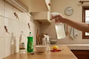 Cara membuat cairan pengusir cicak dari sabun cuci piring dan cuka