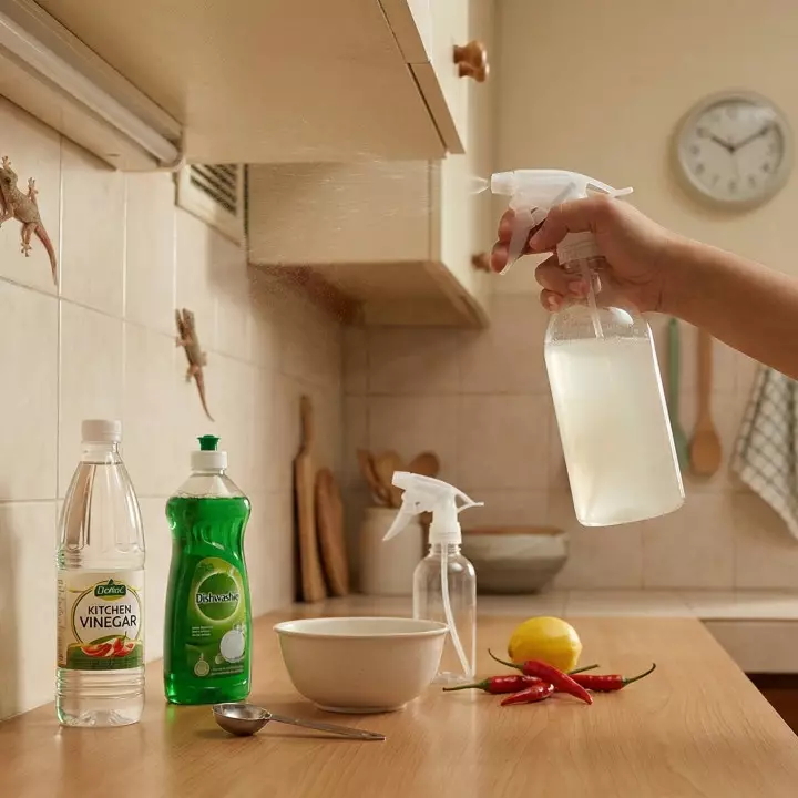 Cara membuat cairan pengusir cicak dari sabun cuci piring dan cuka