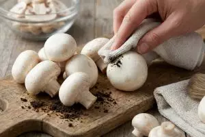 Jangan dikupas dan jangan dicuci lama, ini cara tepat bersihkan jamur kancing agar tetap enak
