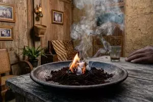 Nggak perlu obat kimia keras, ternyata tabur kopi bisa bikin nyamuk auto kabur dari rumah