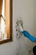 Jamur hitam di tembok terus kambuh? Atasi pakai bahan dapur ini, bersih dan tidak gampang balik lagi