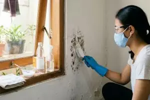 Jamur hitam di tembok terus kambuh? Atasi pakai bahan dapur ini, bersih dan tidak gampang balik lagi