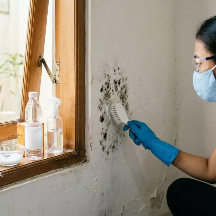 Jamur hitam di tembok terus kambuh? Atasi pakai bahan dapur ini, bersih dan tidak gampang balik lagi