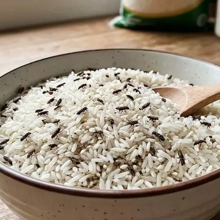 Pakai cuka dan tisu, begini cara hilangkan kutu beras dengan instan tanpa ribet