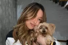 Brilio News - Latest News and Articles