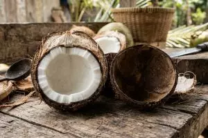 Stop belah batok kelapa sembarangan! Ini cara praktis agar dagingnya terlepas sempurna