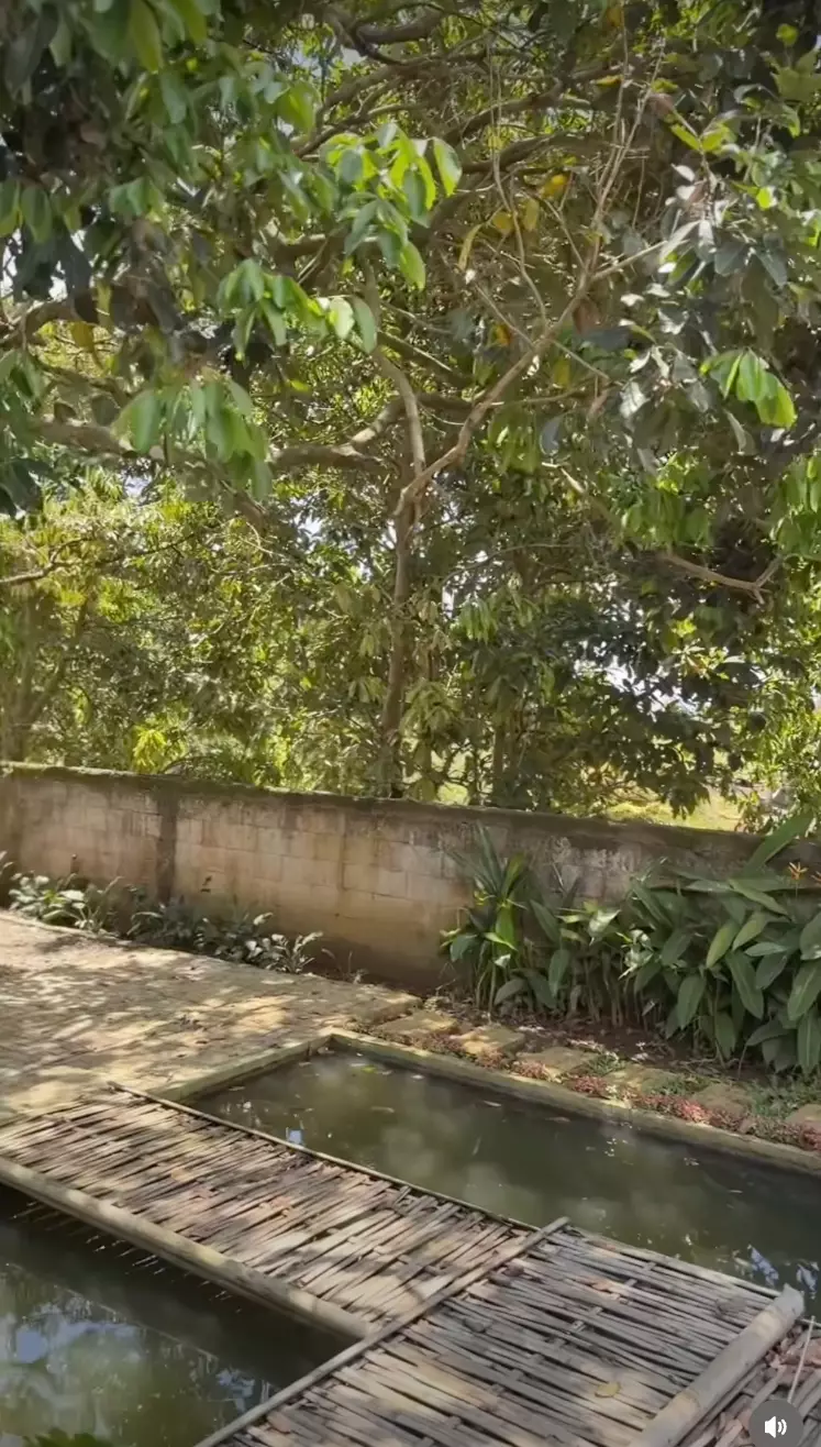 Rumah Bobby Tince Instagram @kikifarrel_