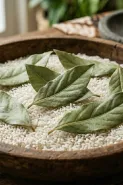 Cara mengusir kutu beras dengan daun salam, trik dapur sederhana yang mudah dicoba