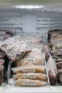 Freezer penuh daging jadi berembun dan bunga es menumpuk? Begini cara menatanya biar hemat listrik