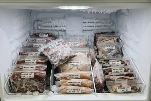 Freezer penuh daging jadi berembun dan bunga es menumpuk? Begini cara menatanya biar hemat listrik