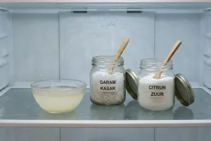 Solusi praktis kulkas wangi tanpa bahan kimia menggunakan kombinasi garam dan citrun