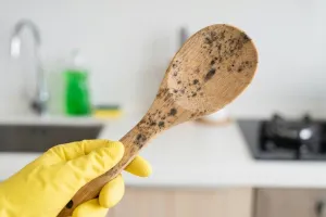Cara membersihkan centong kayu berjamur biar aman dipakai lagi