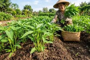 Kangkung kerdil dan batang kurus? Ini penyebab dan cara mengatasinya