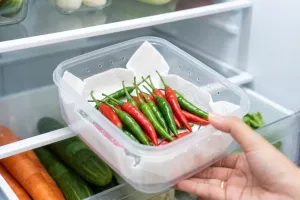Cara menyimpan cabai rawit agar tidak cepat lembek, tetap segar dan tahan lebih lama