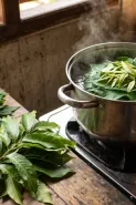 Kamu suka daun pepaya tapi benci pahitnya? ini solusinya tanpa tanah liat