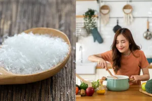 Menelusuri fakta dan mitos micin yang dituduh bisa merusak otak, ternyata fakta ini bongkar semuanya