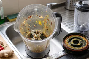 5 Kesalahan mencuci blender yang bikin bau bumbu sulit hilang, banyak yang masih melakukannya