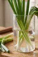 Cara menyegarkan daun bawang layu sebelum dimasak, mudah dilakukan di rumah