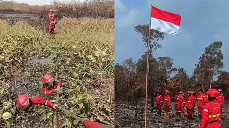 10 Potret perjuangan petugas padamkan karhutla Kalimantan &amp; Sumatera, hadapi asap hingga terbatas air