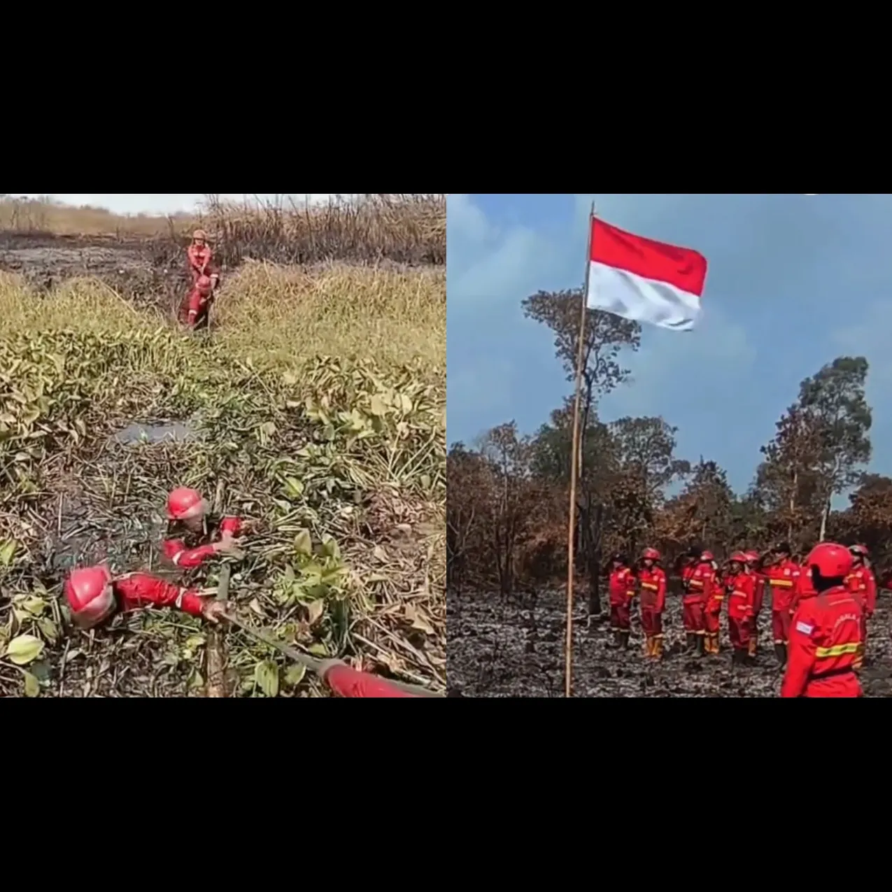 10 Potret perjuangan petugas padamkan karhutla Kalimantan &amp; Sumatera, hadapi asap hingga terbatas air