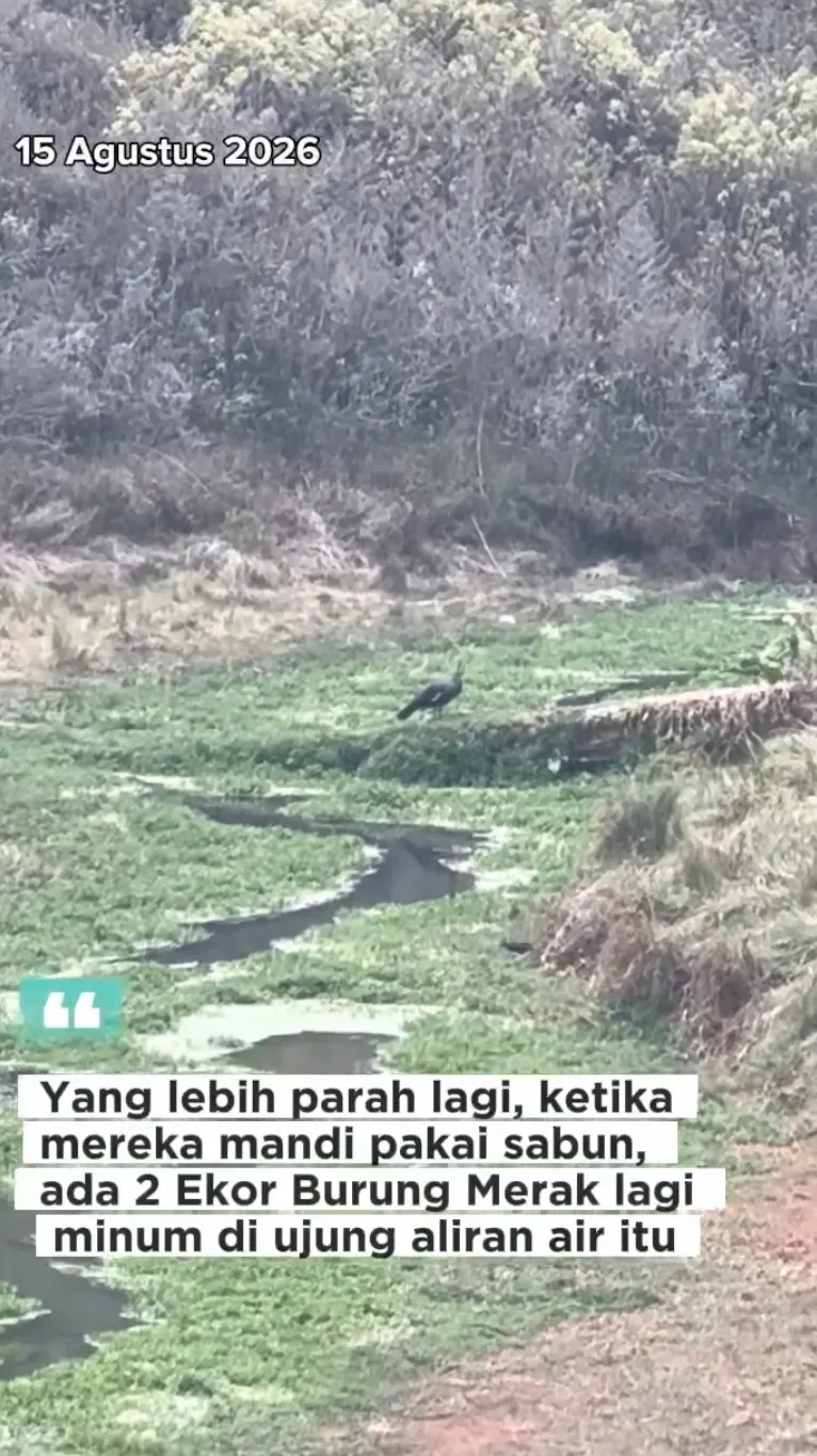 Pendaki nekat mandi di Mata Air Qolbu Gunung Argopuro © 2026 Pendaki nekat mandi di Mata Air Qolbu Gunung Argopuro © 2026