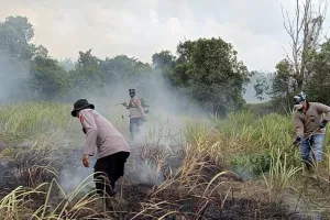Taman Nasional Way Kambas kebakaran, 673,4 hektare area terbakar dan api masih dalam upaya dipadamkan