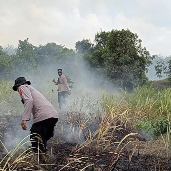 Taman Nasional Way Kambas kebakaran, 673,4 hektare area terbakar dan api masih dalam upaya dipadamkan