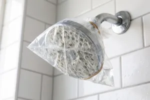 Shower penuh kerak putih? Coba trik ini pakai 1 bahan dapur sebelum menggosoknya