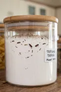 Kenapa tepung cepat berkutu padahal wadah tertutup? ini penyebab dan cara mencegahnya