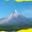 Satu orang dari rombongan kemudian tertinggal saat perjalanan turun dari puncak dan dilaporkan tersesat.