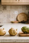 Kentang mulai bertunas, kapan masih aman dimasak dan kapan sebaiknya dibuang?
