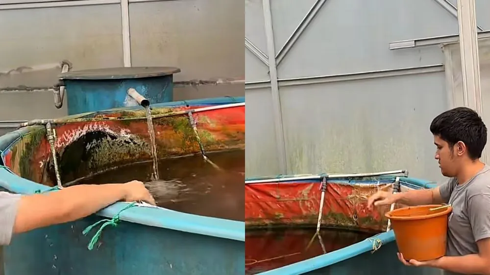 Purbaya mau mancing © 2026 Purbaya mau mancing © 2026