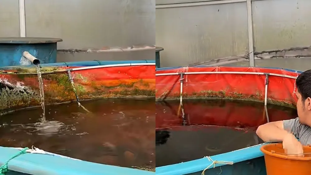 Purbaya mau mancing © 2026 Purbaya mau mancing © 2026