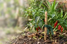 Brilio News - Latest News and Articles