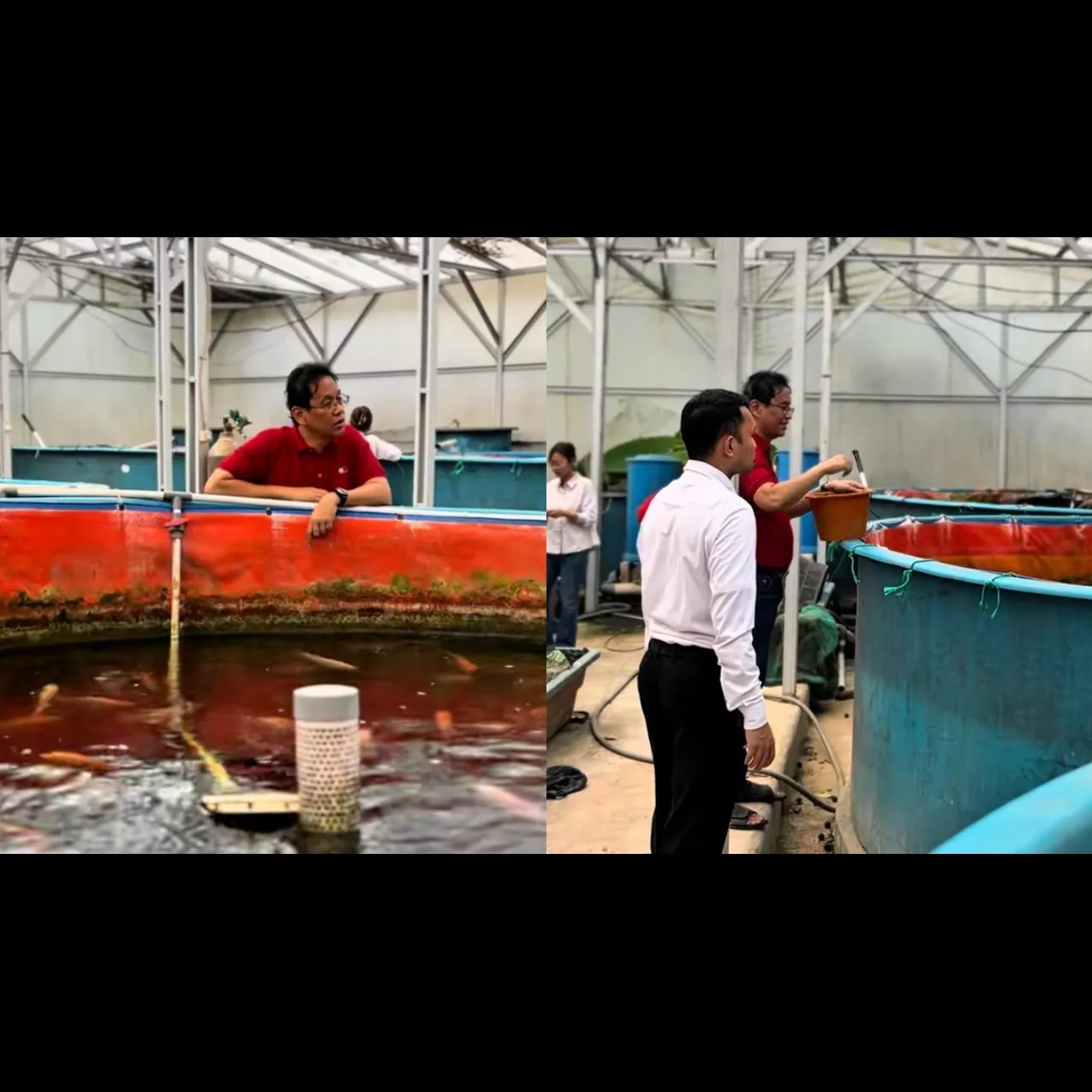Purbaya “mancing” ikan bukan isapan jempol, ini 5 potret santainya beri makan ternak nila dan mujair
